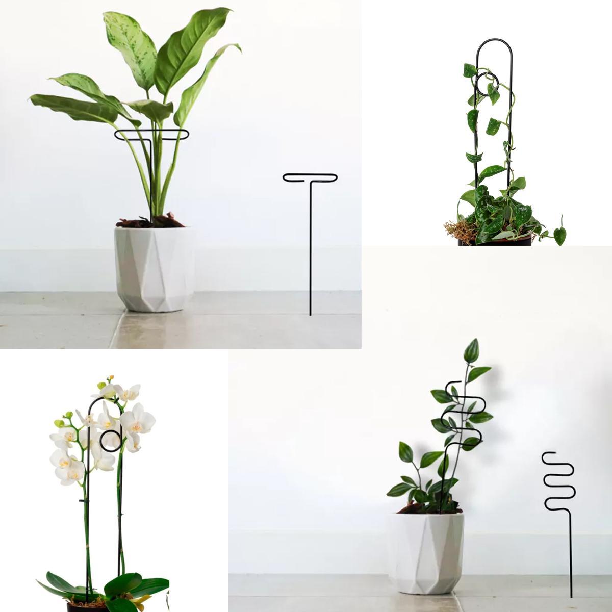 Kit 3 Suporte Plantas Tutor Metal Branco - Decoração