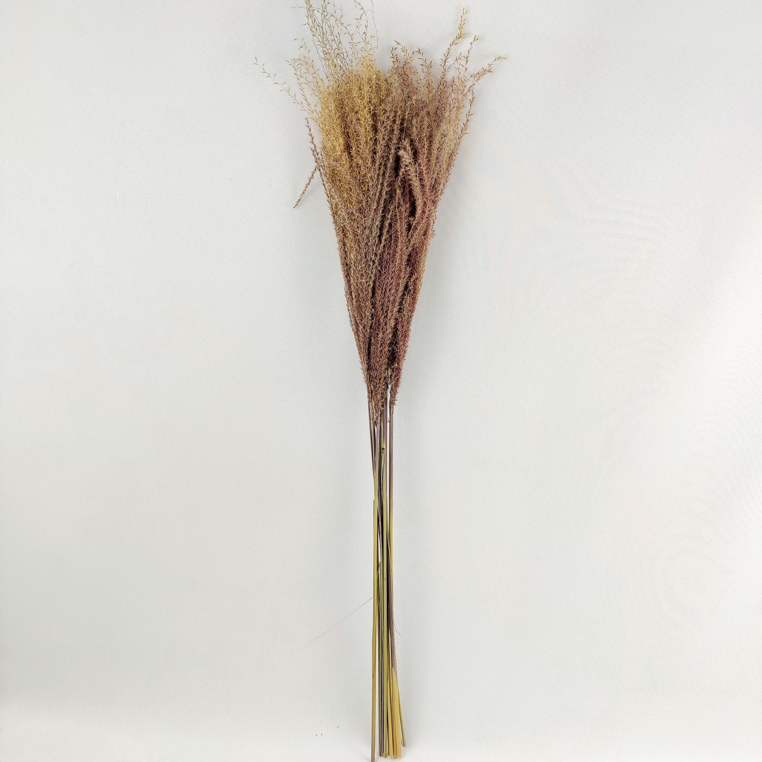 Miniatura Capim Desidratado Marrom Natural 70x13cm Planta Artificial
