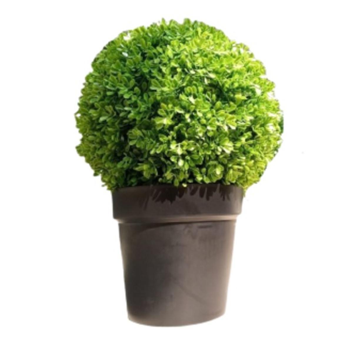 Miniatura Planta Artificial Decoração Enfeite Buchinho 45 X 36
