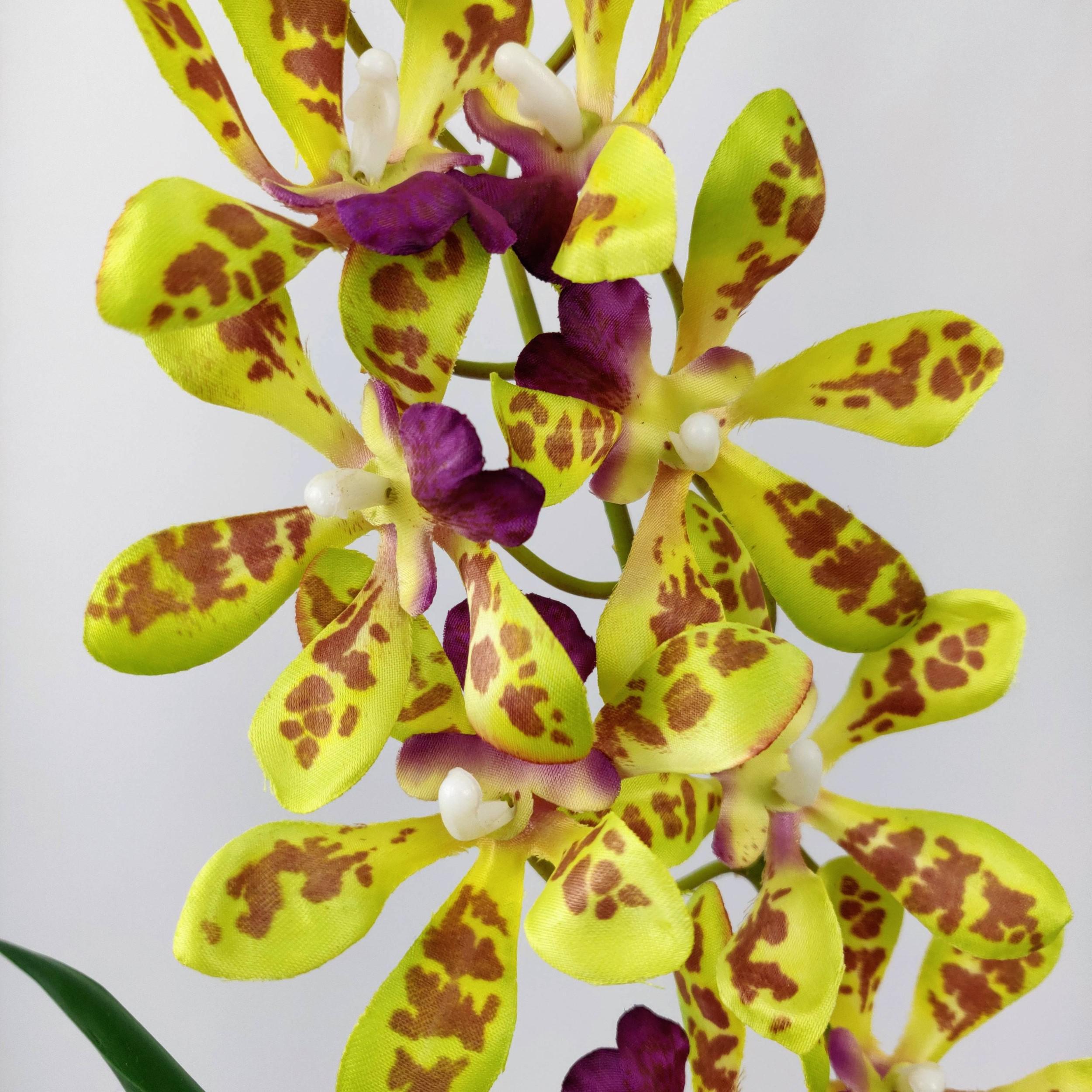 Orquidea Oncidium Verde Planta Artificial 77X37Cm 2 Hastes