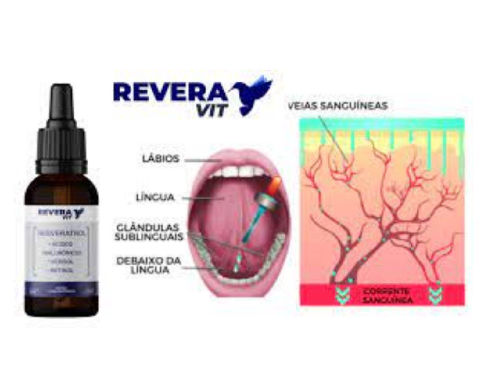 Miniatura Reveravit Resveratrol Americano Oficial
