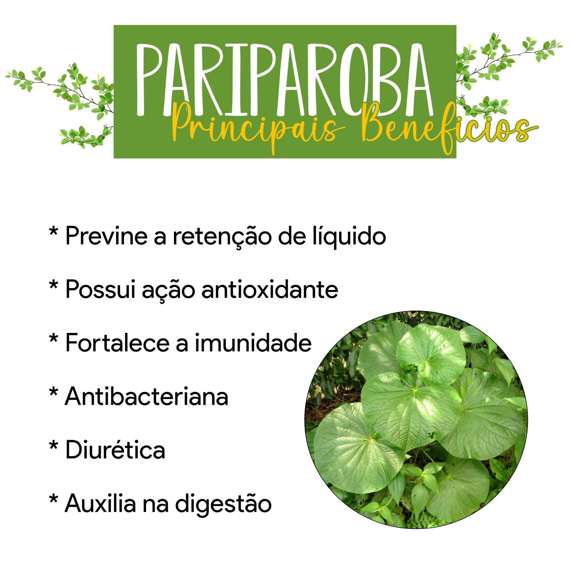 Miniatura Suplemento Natural Pariparoba 500mg - Antioxidante - 3 Potes