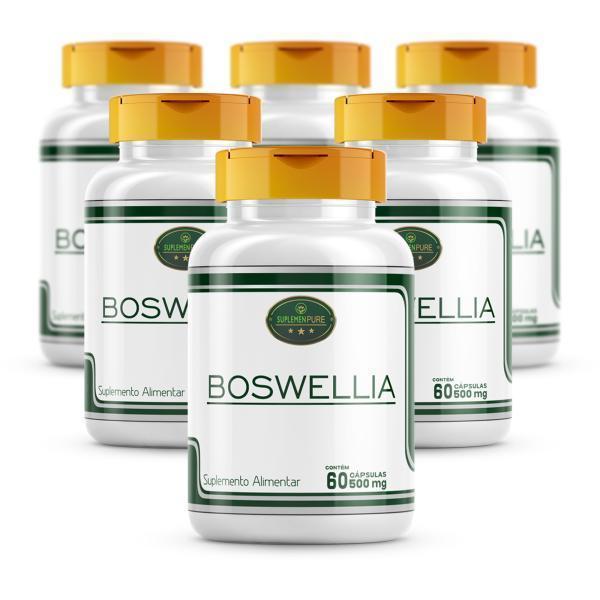 Miniatura Kit 6 Frascos Boswelia 360 Cáps 500Mg - Boswellia Serrata