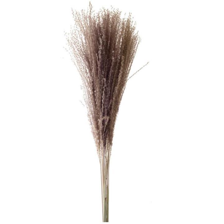 Miniatura Capim Desidratado Marrom Natural 70x13cm Planta Artificial