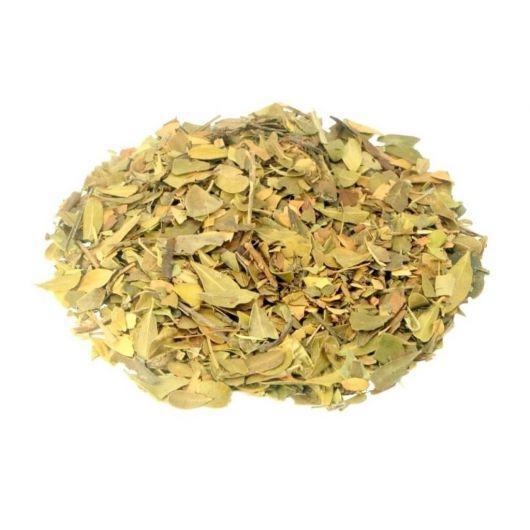 Miniatura Chá De Uva Ursi - Livre De Agrotóxicos - 100G