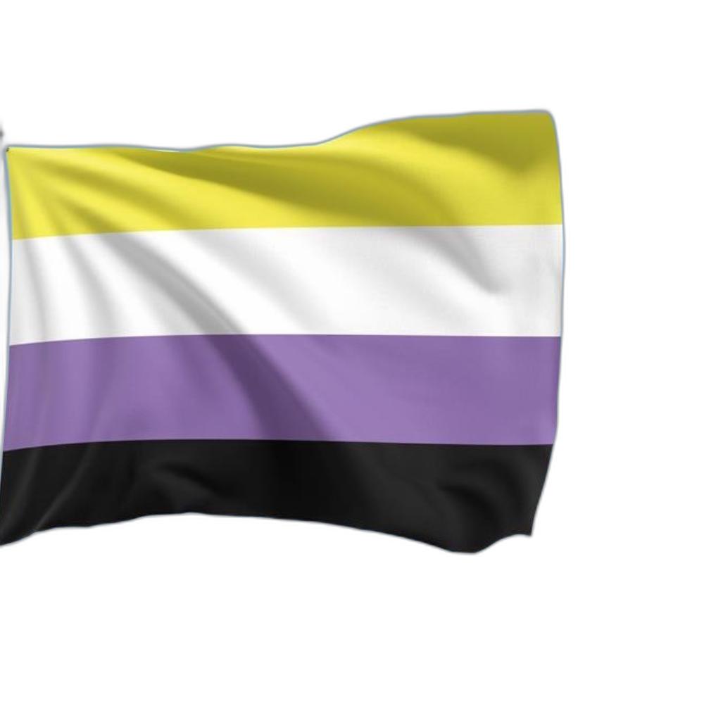 Miniatura Bandeira Gênero Não Binário 1,50X0,90Mt Lgbtqi+ Envio