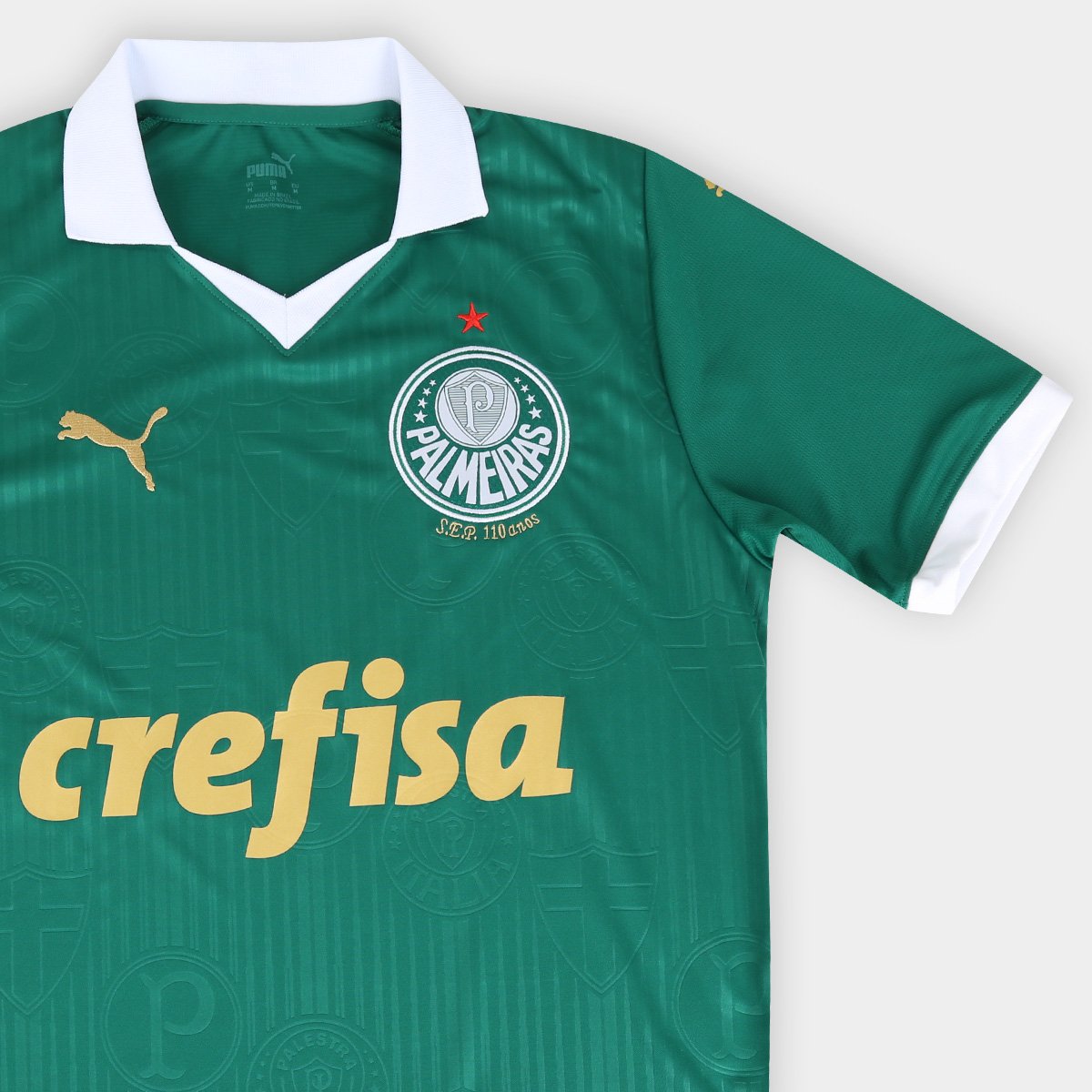 Camisa Palmeiras I 24/25 sn° Torcedor Puma Masculina Verde - EEG