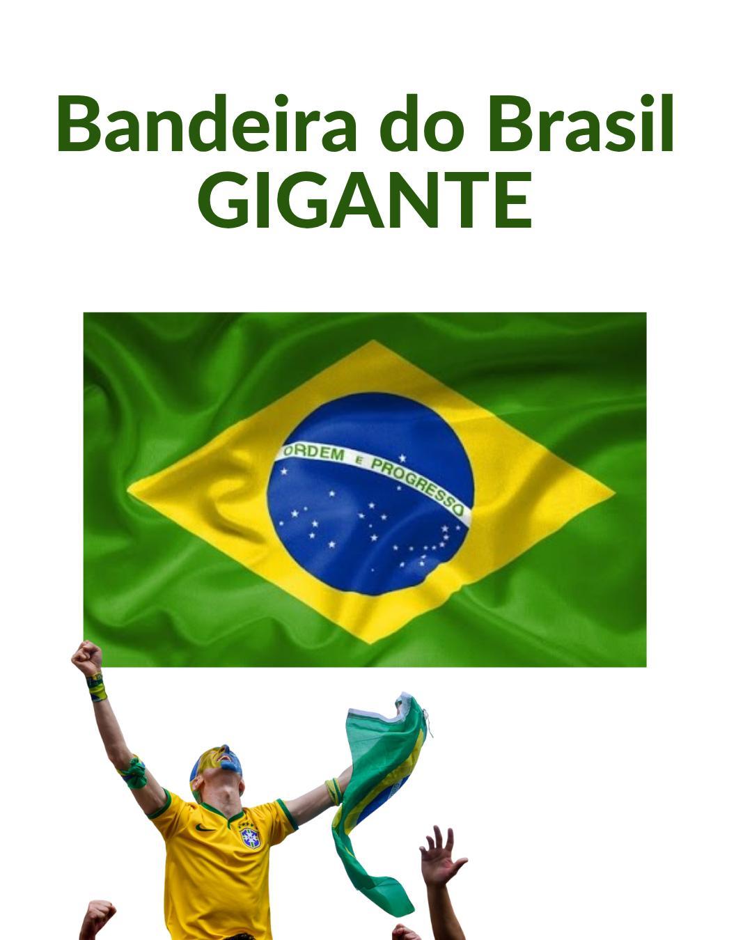 Miniatura Bandeira Brasil 3X2 M Campeonato Muldial Clubes Torcida Gol