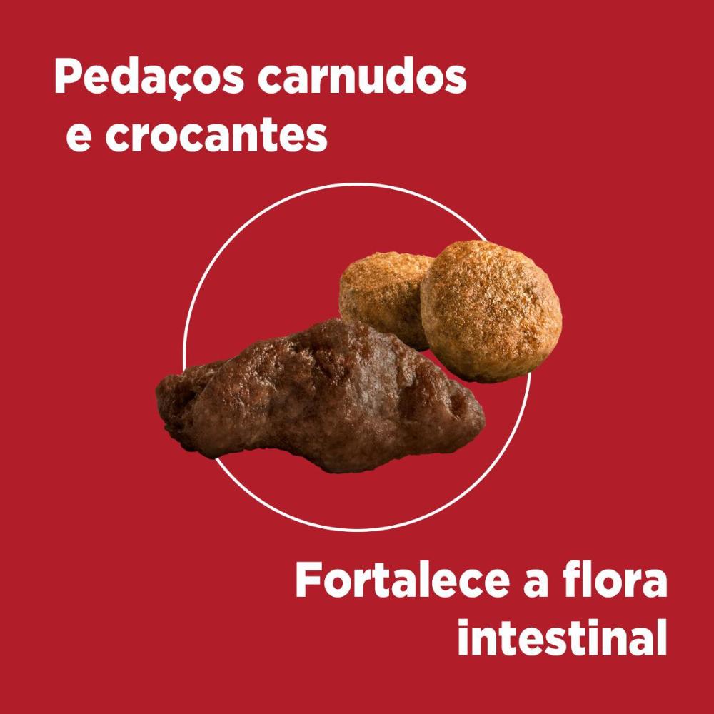 Ração Seca Nestlé Purina One Frango e Carne para Cães Adultos Raças Médias e Grandes - 2 Kg