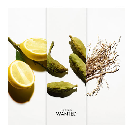 Miniatura Wanted Azzaro - Perfume Masculino - Eau de Toilette 100ml