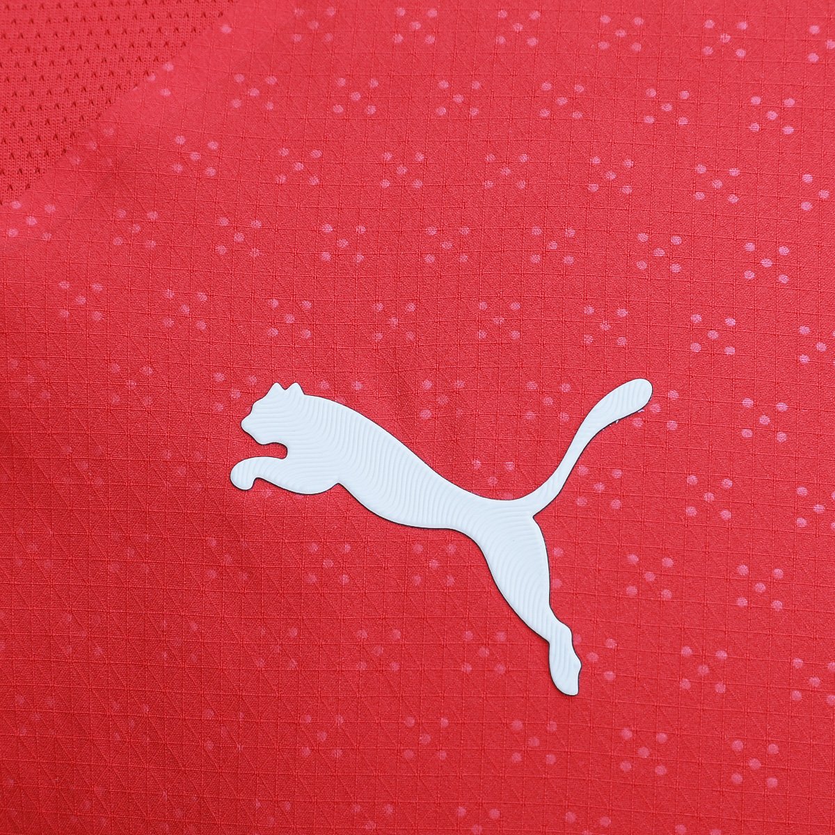 Miniatura Camisa Seleção Portugal Home 25/26 s/n Jogador Puma Masculina Vermelho - P