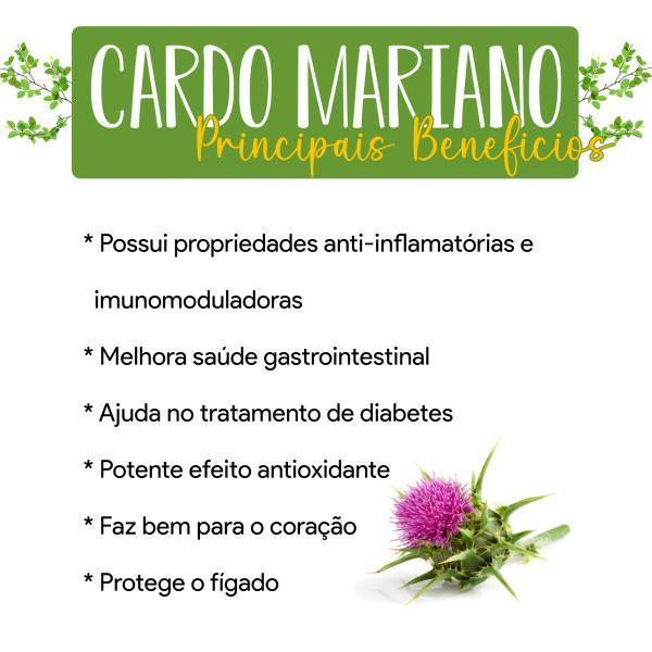 Miniatura Kit 6 Potes Cardo Mariano Puro 360 Cápsulas 500Mg