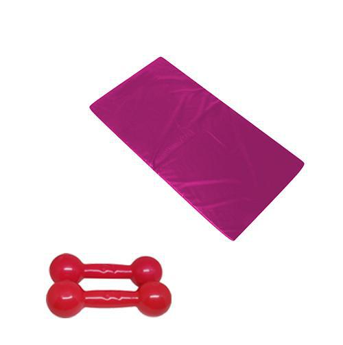 Miniatura Kit Colchonete Rosa + Par De Halter Emborrachado Rosa 2Kg