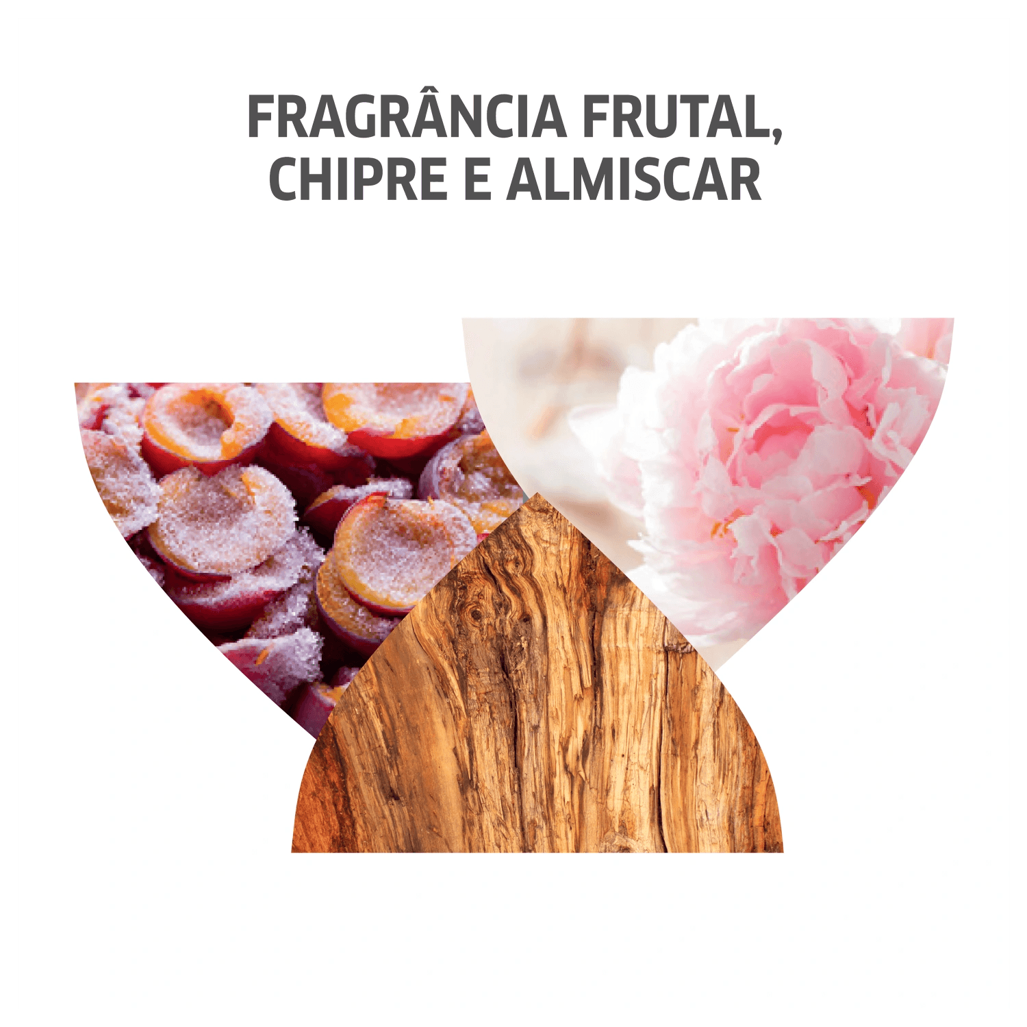 Miniatura Kit Wella Professionals Invigo Nutri-Enrich Shampoo Salon Power (2 Unidades)