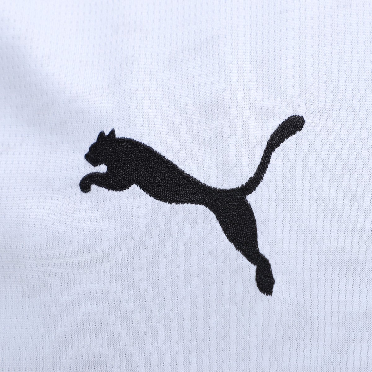 Miniatura Camisa Borussia Dortmund Third 25/26 s/n Torcedor Puma Masculina Branco - EGG