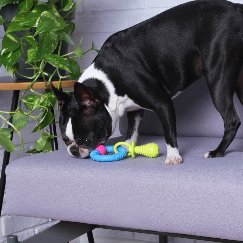 Miniatura Mordedor Chaveiro Kroco para Cães - Tam. Único