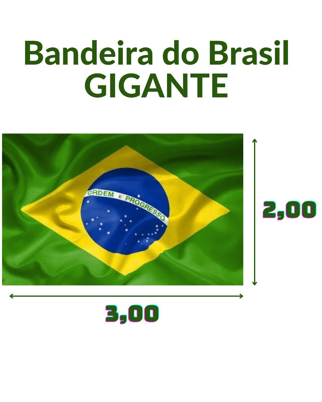 Bandeira Brasil 3X2 M Campeonato Muldial Clubes Torcida Gol