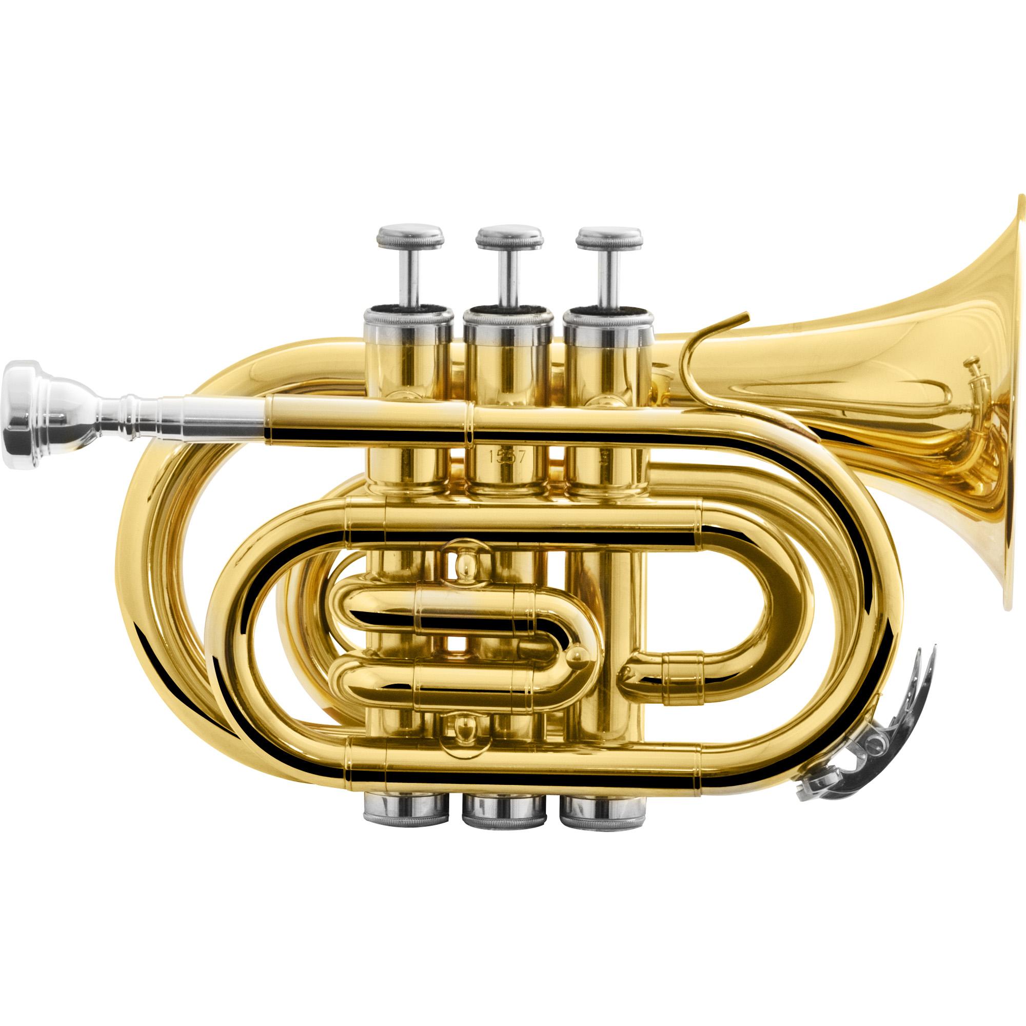Miniatura Trompete Pocket Bb Hmt-500L Laqueado Harmonics Dourado Trompete - Harmonics