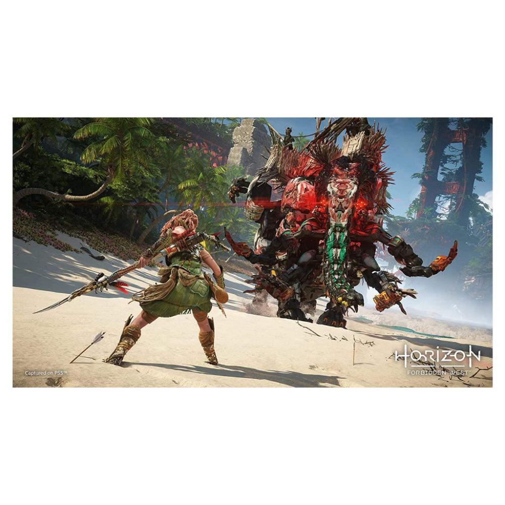 Horizon Forbidden West Collector's Edition - PS4 e PS5