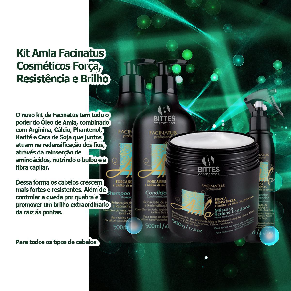 Miniatura Kit Amla Facinatus Cosméticos Força, Resistência E Brilho