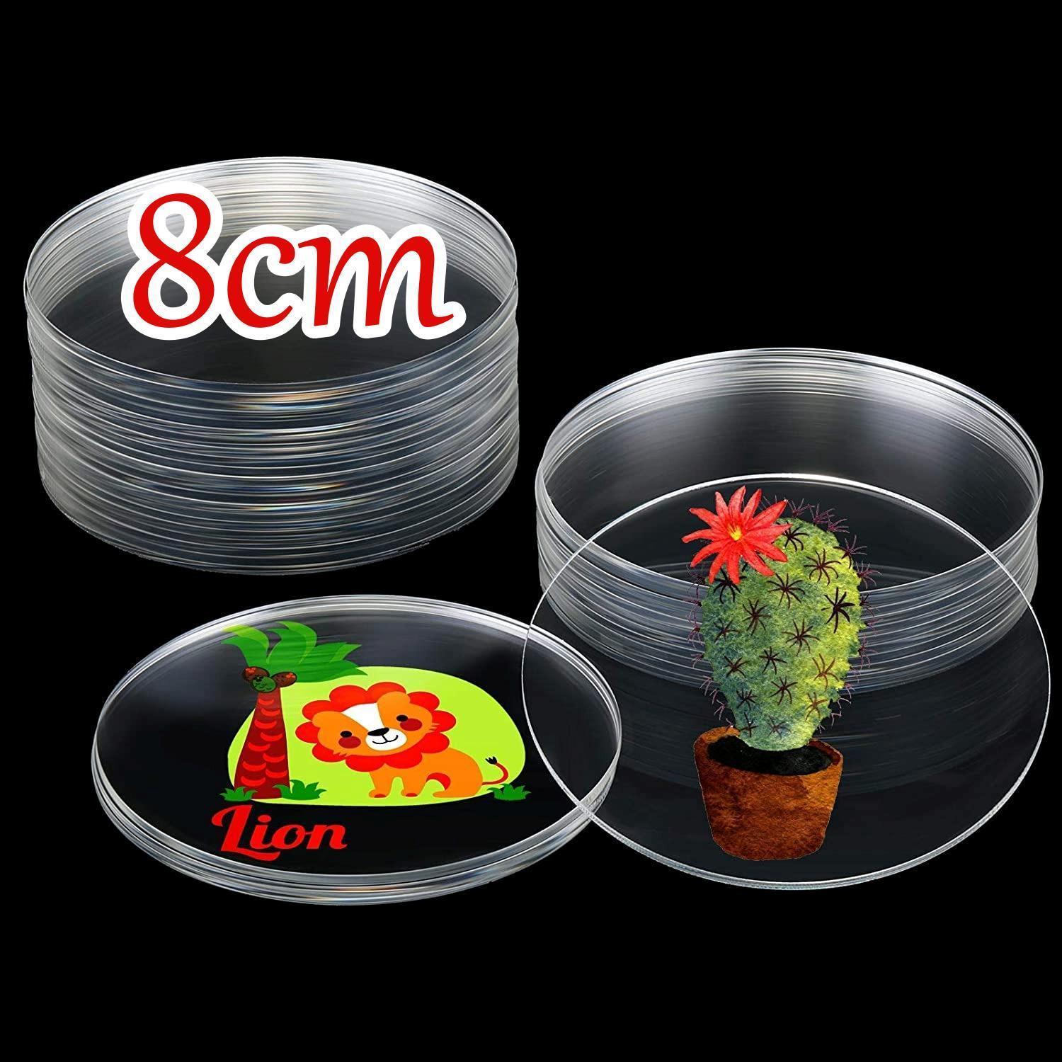 Disco De 8Cm De Diâmetro Acrilico Transparente P/Artesanato
