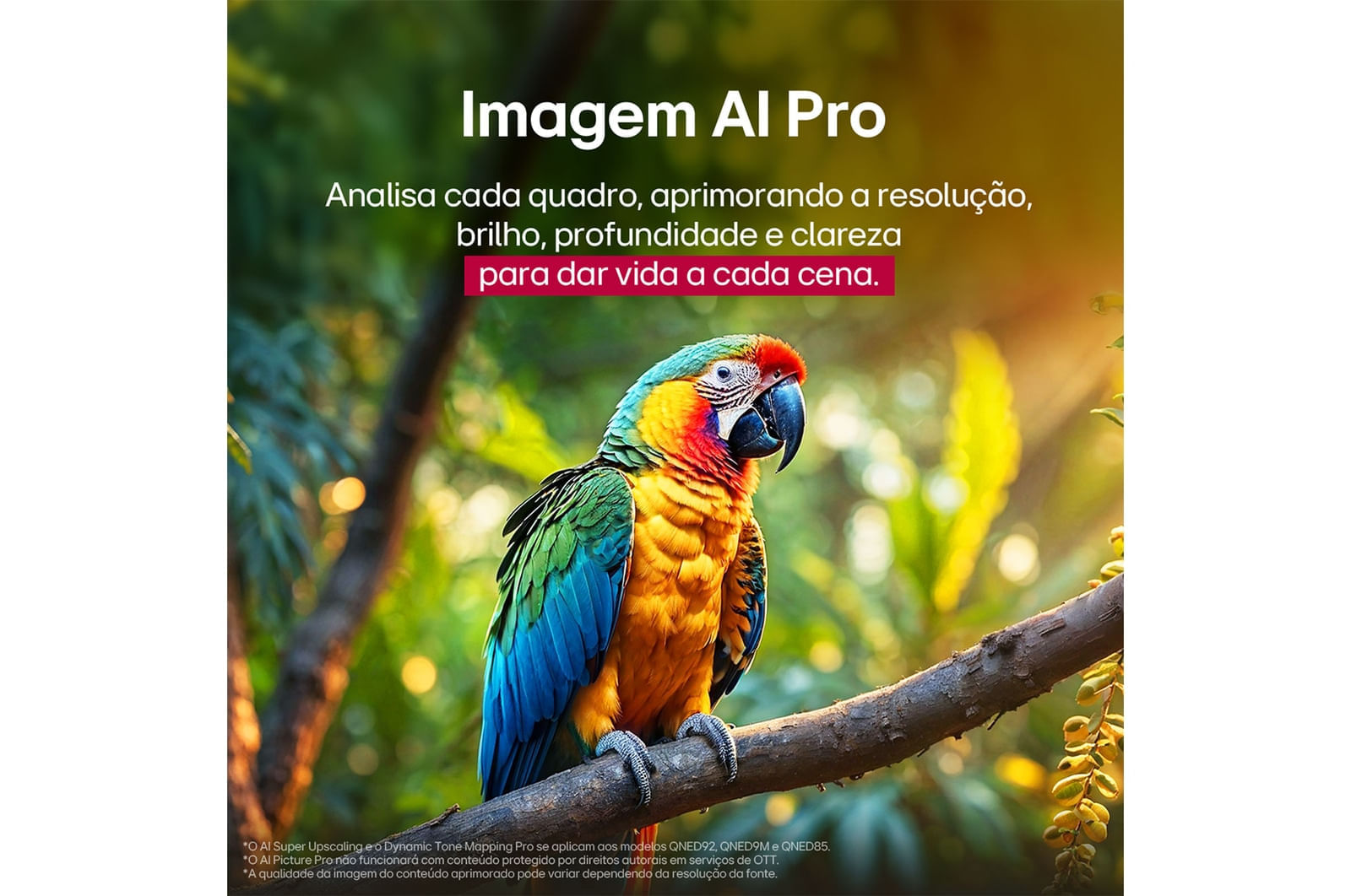 Smart TV LG QNED evo AI QNED85 65 Polegadas (65QNED85ASG): Cores Ricas e Precisão MiniLED em 4K 12 meses - 65 " - 110v/220v