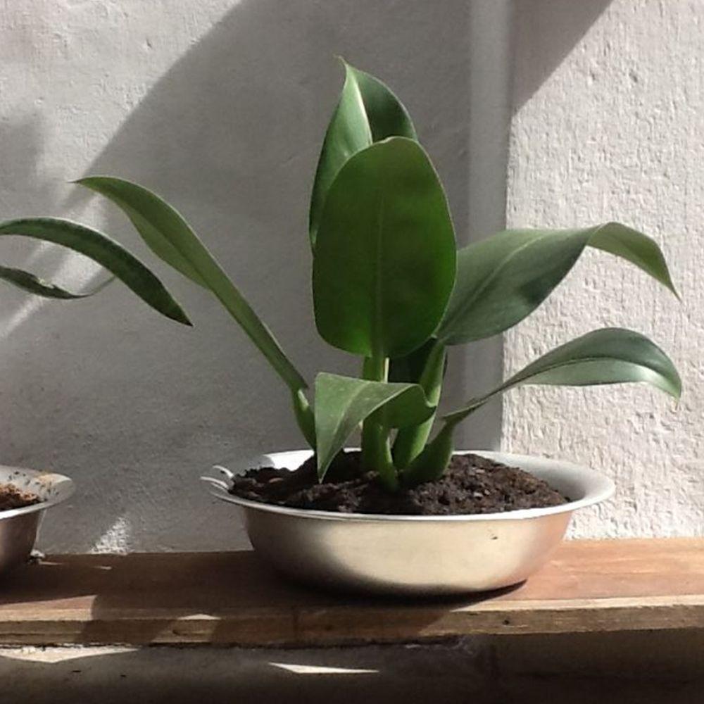 Miniatura Bacia De Alumínio Redonda Para Banho Assento E Cozinha 45cm