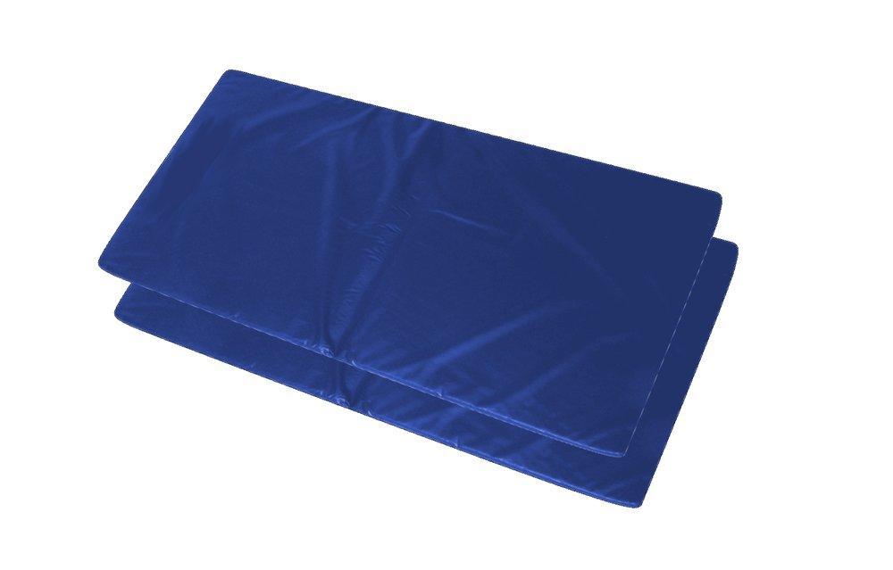 Miniatura Kit 2 Colchonetes Academia Fitness Orthovida 100 X 60 X 3 Cm