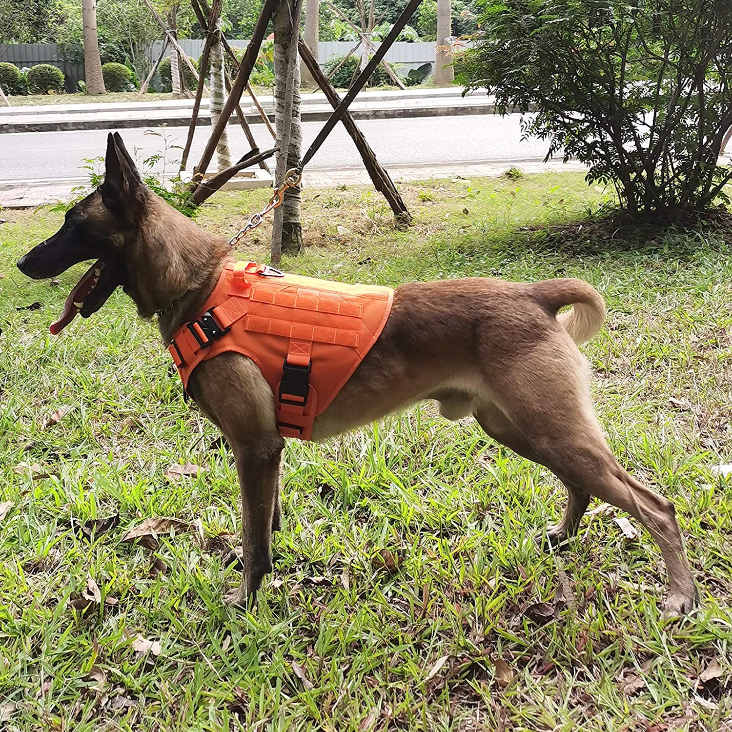 ICEFANG Arreio Tático para Cães com 2 Fivelas de Metal Extra G rande