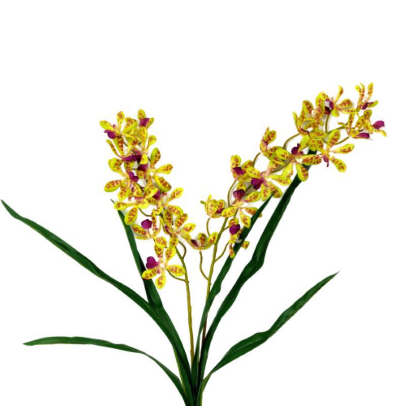 Miniatura Orquidea Oncidium Verde Planta Artificial 77X37Cm 2 Hastes