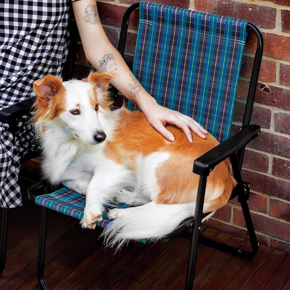 Miniatura Cadeira De Praia Varanda Xadrez Em Aço 110 Kg Cores Mor Cor:azul Azul