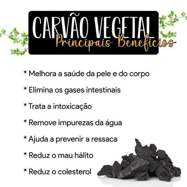 Miniatura Carvão Vegetal Ativado Puro 100% Natural Cáps Kit 5 Potes