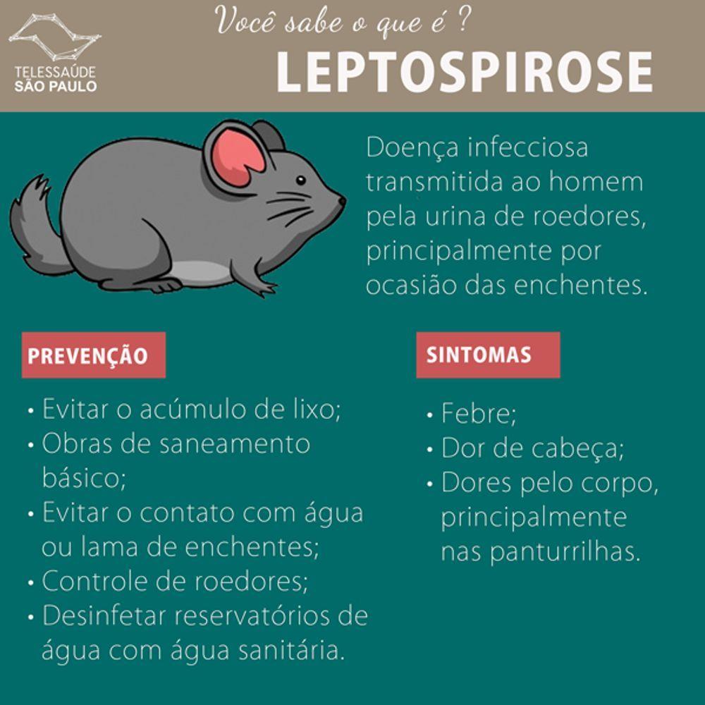 Miniatura Placa Cola Pega Rato