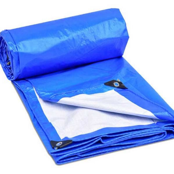 Miniatura Lona lago azul e branca 15 x 10 m 300 micra com ilhos Branco - Lona