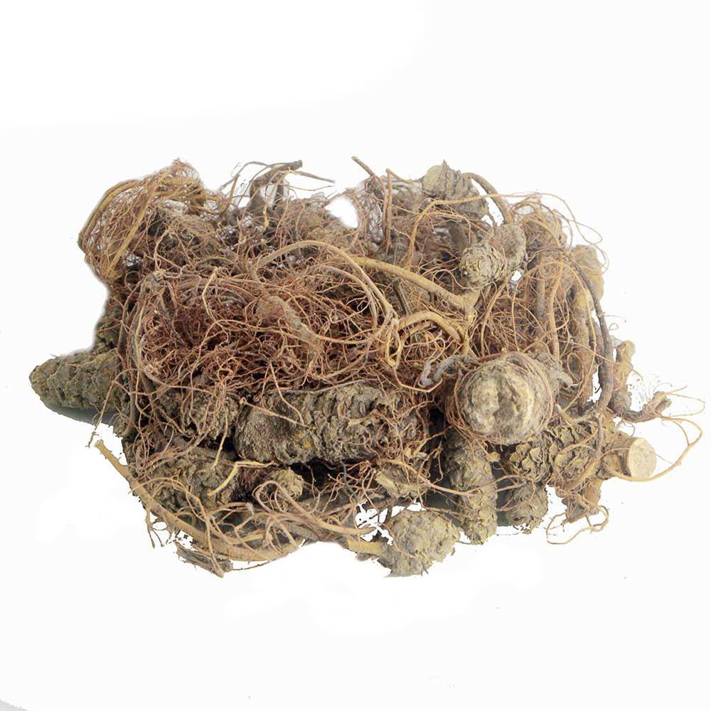 Miniatura Chá de Carapiá - Dorstenia - 50g - 100% Natural