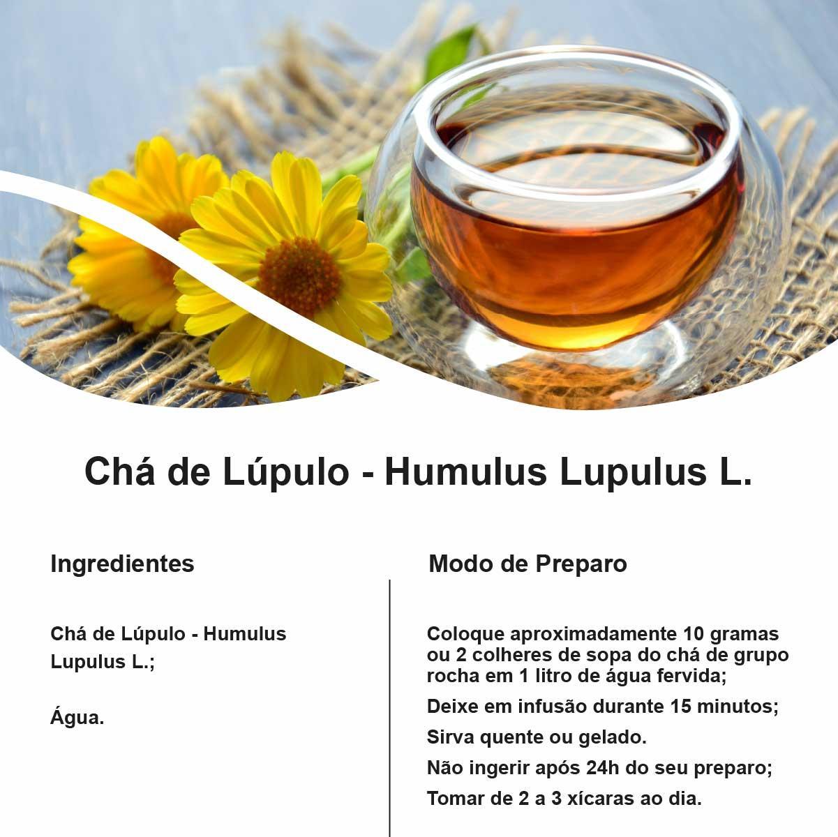 Miniatura Chá De Lúpulo - Humulus Lupulus L. - 50G