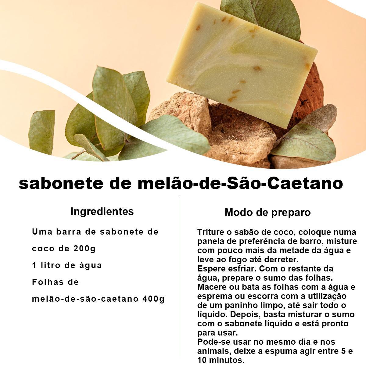 Chá De Melão De São Caetano 100 Natural - 100G