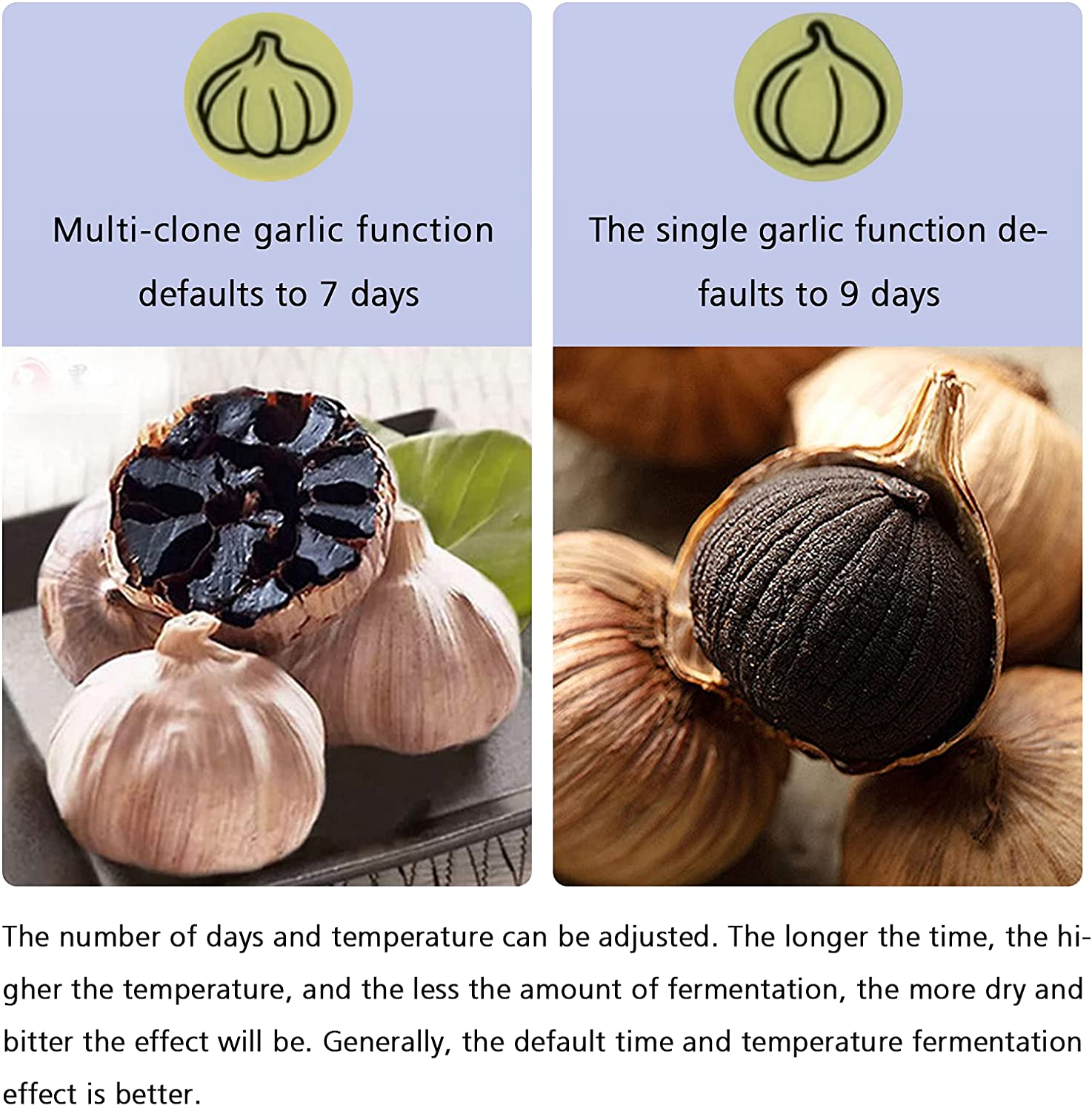 Miniatura Black Garlic Máquina Fermentadora Automática 6L para P roduzir Alho Negro 110V Dourada