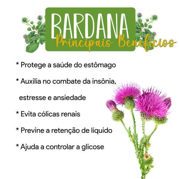 Miniatura Bardana Cápsulas 100% Pura Natural - Kit 6 Potes
