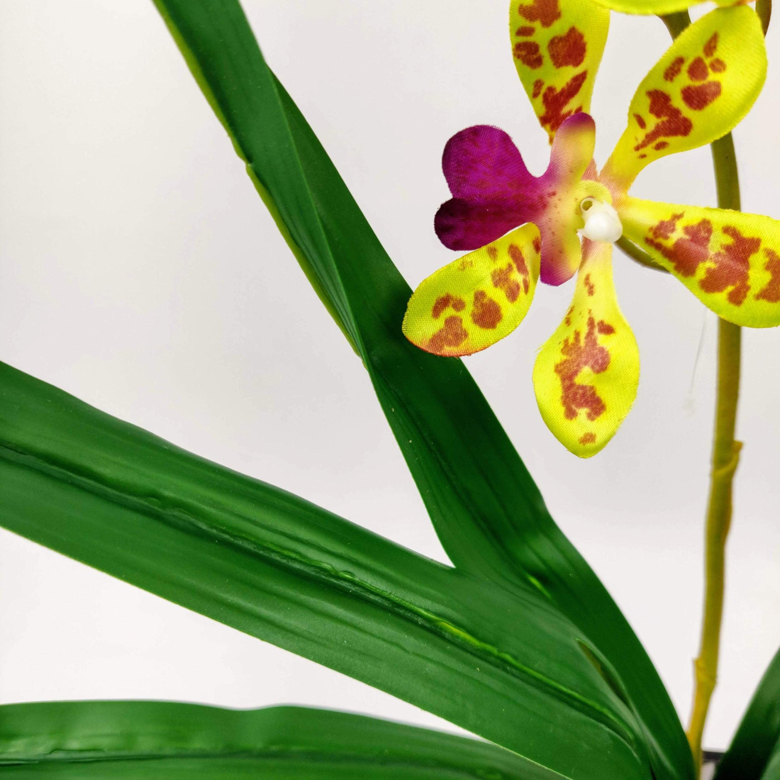 Miniatura Orquidea Oncidium Verde Planta Artificial 77X37Cm 2 Hastes