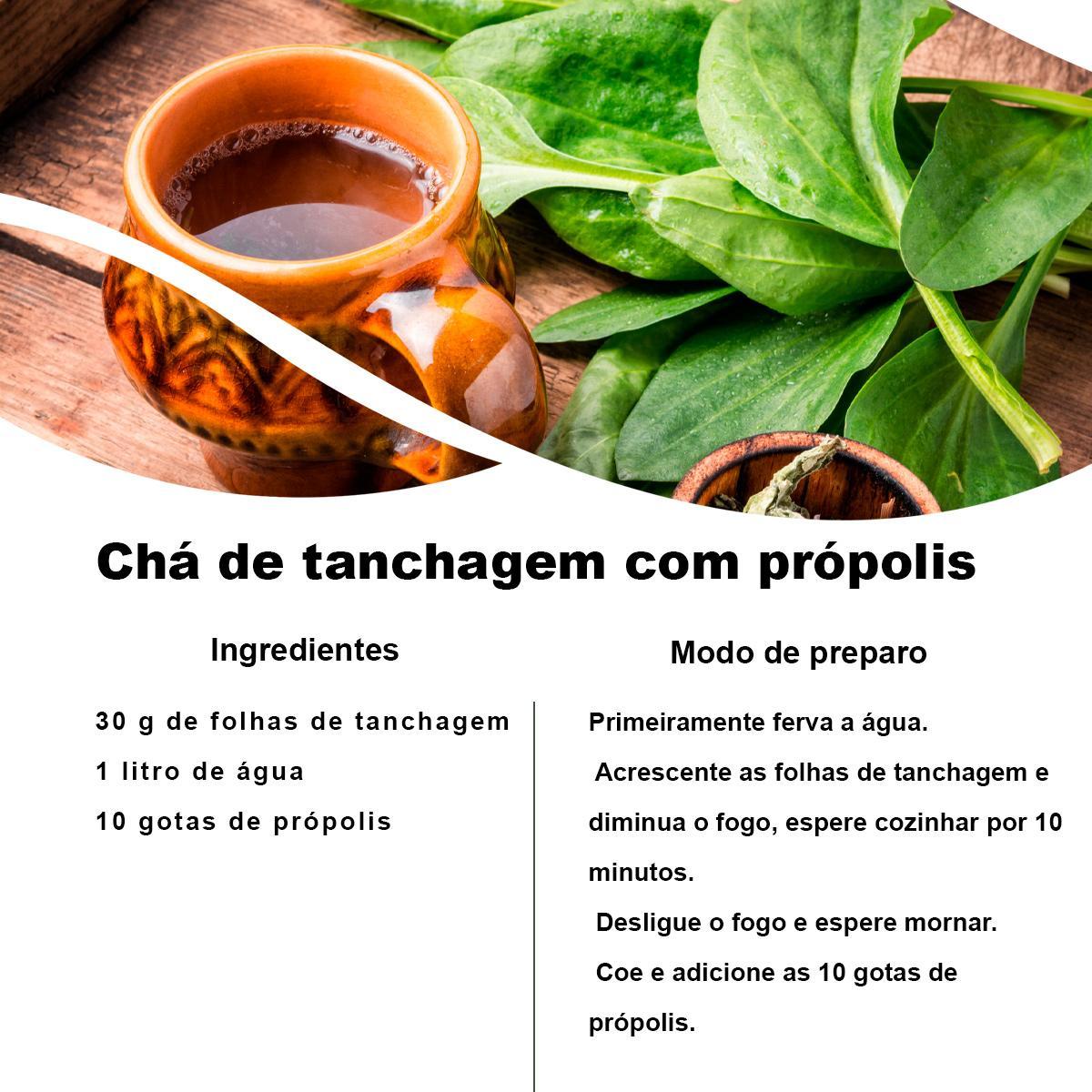 Miniatura Kit 4 Pct Chá De Tanchagem - Plantago Major L. - 100G Cada
