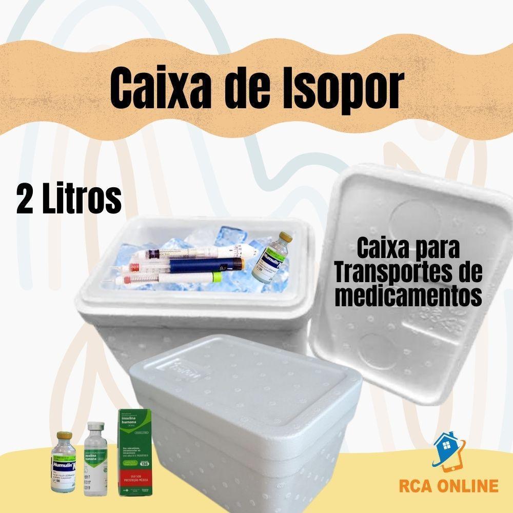 Miniatura Caixas De Isopor Eps 2 Litros Kit 5 Unid Sorvetes E Gelatos