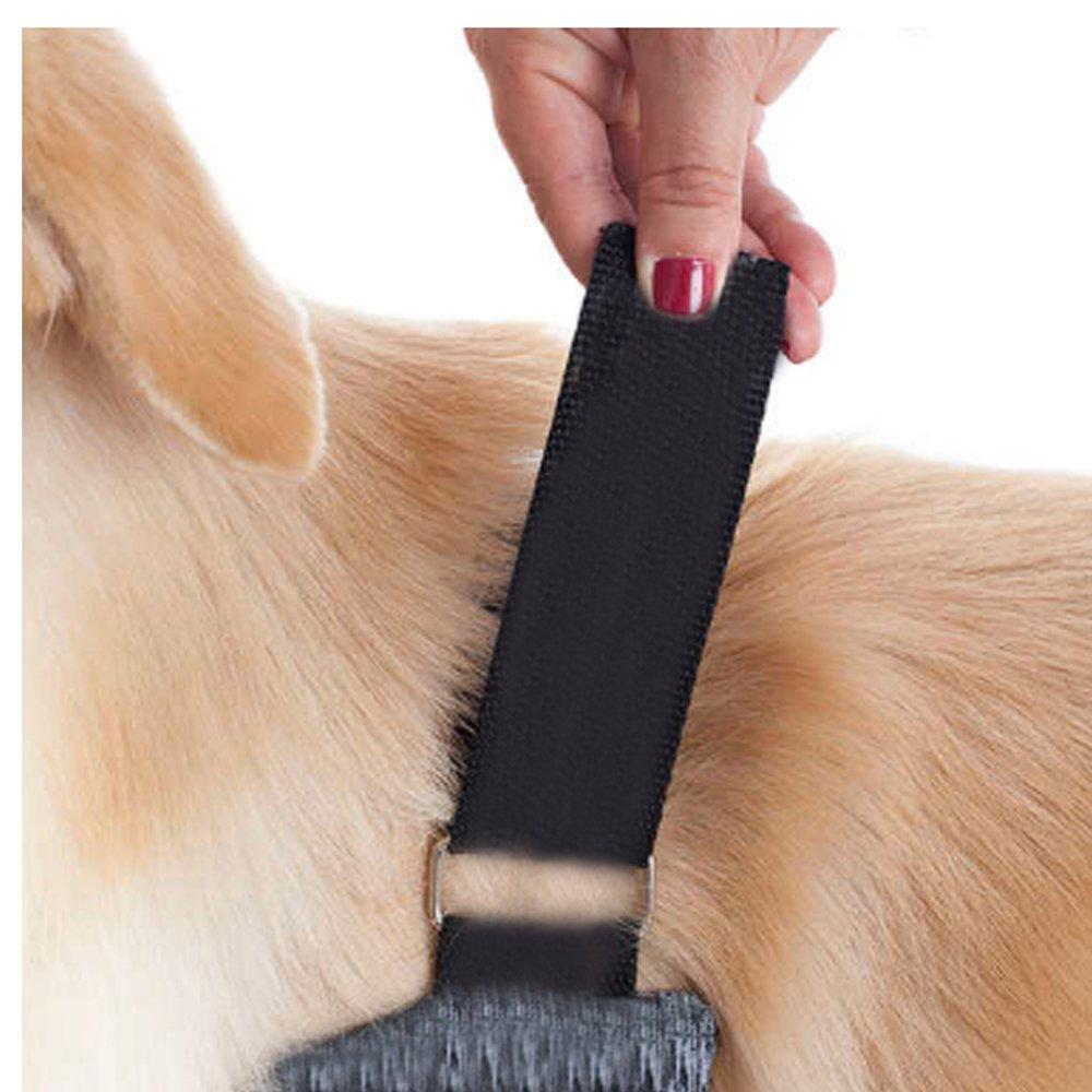 Miniatura Protetor de Membros Anteriores Pet Med Duo Dry Color para Cães - Tam. 09