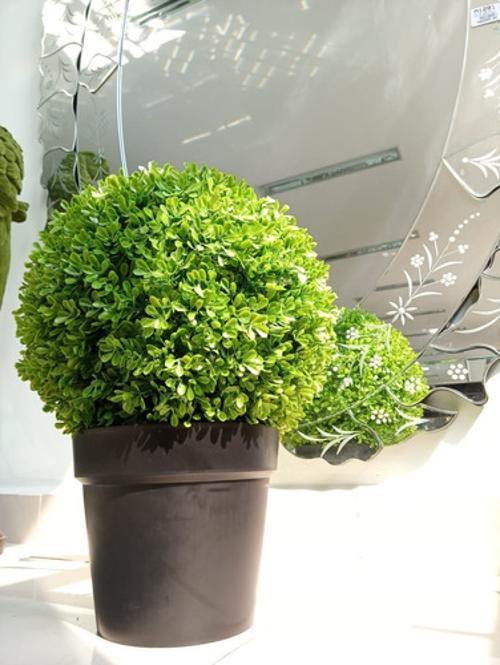 Miniatura Planta Artificial Decoração Enfeite Buchinho 45 X 36