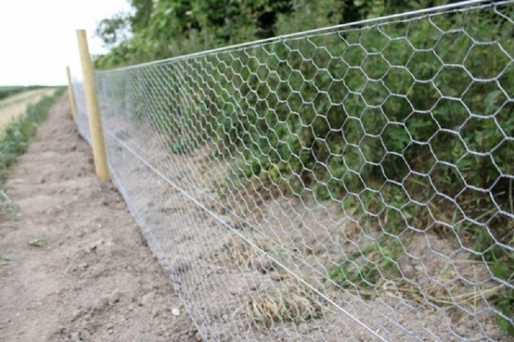 Miniatura Tela Galinheiro Galvanizada Arame Fio 22 1,8M X 50M