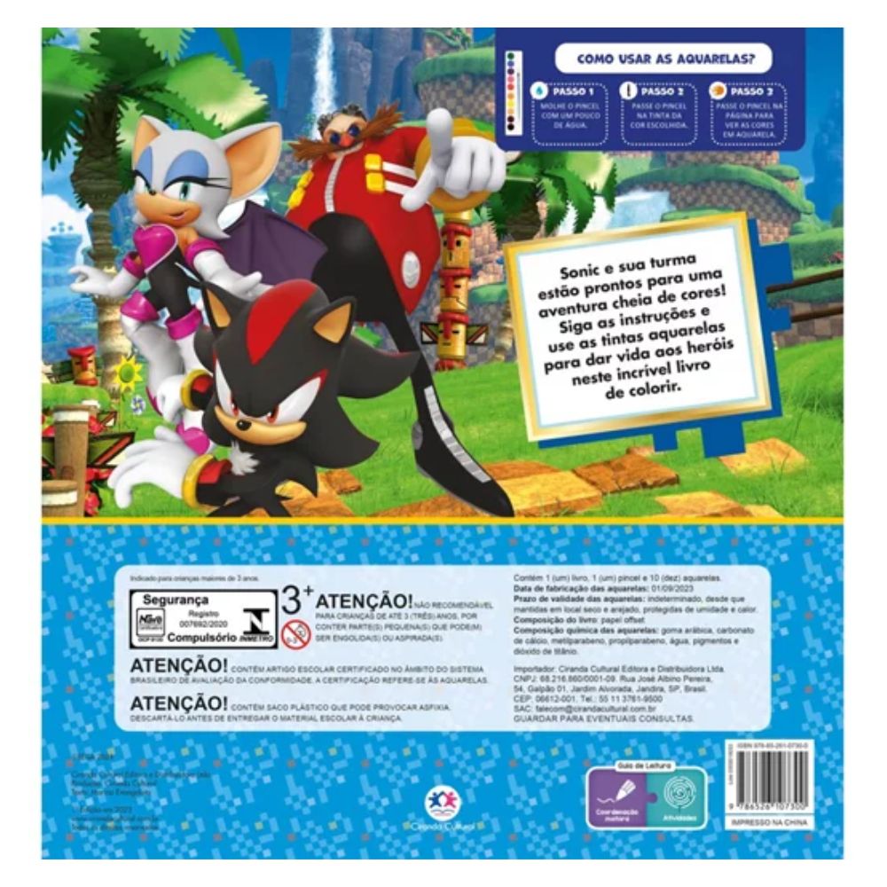 Miniatura Livro Infantil Sonic The Hedgehog Cores e Aventura
