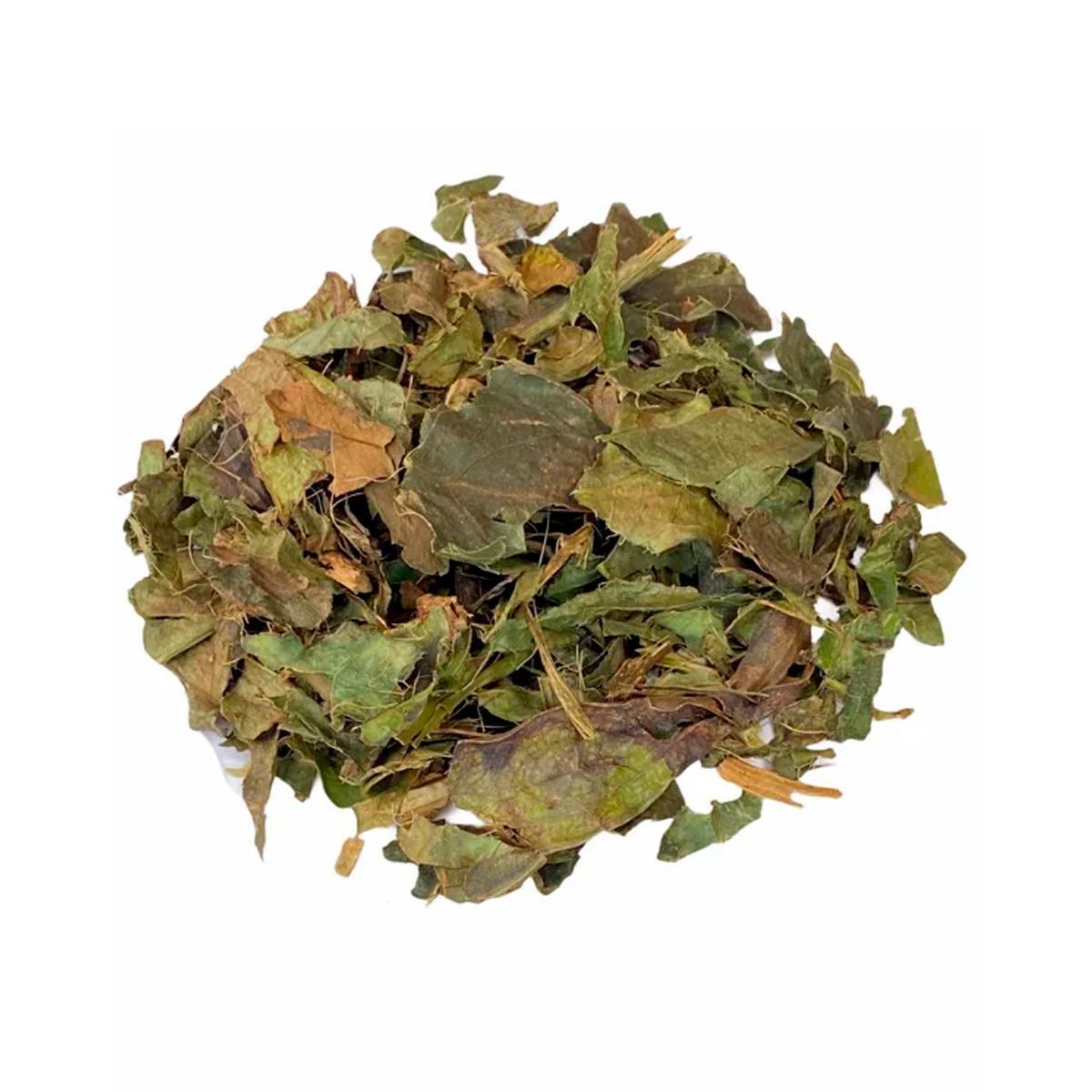 Miniatura Chá De Guaco - Mikania Glomerata Sprengel - 100G