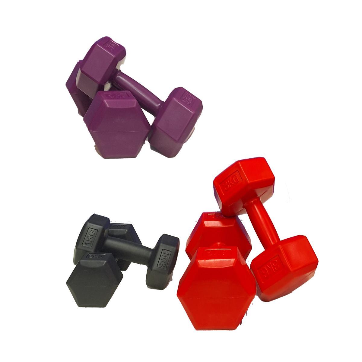 Kit Halteres Plástico 1Kg A 3Kg Suporte Musculação Academia