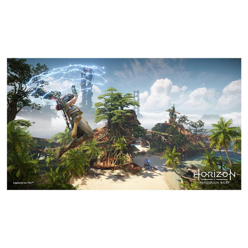 Horizon Forbidden West Collector's Edition - PS4 e PS5